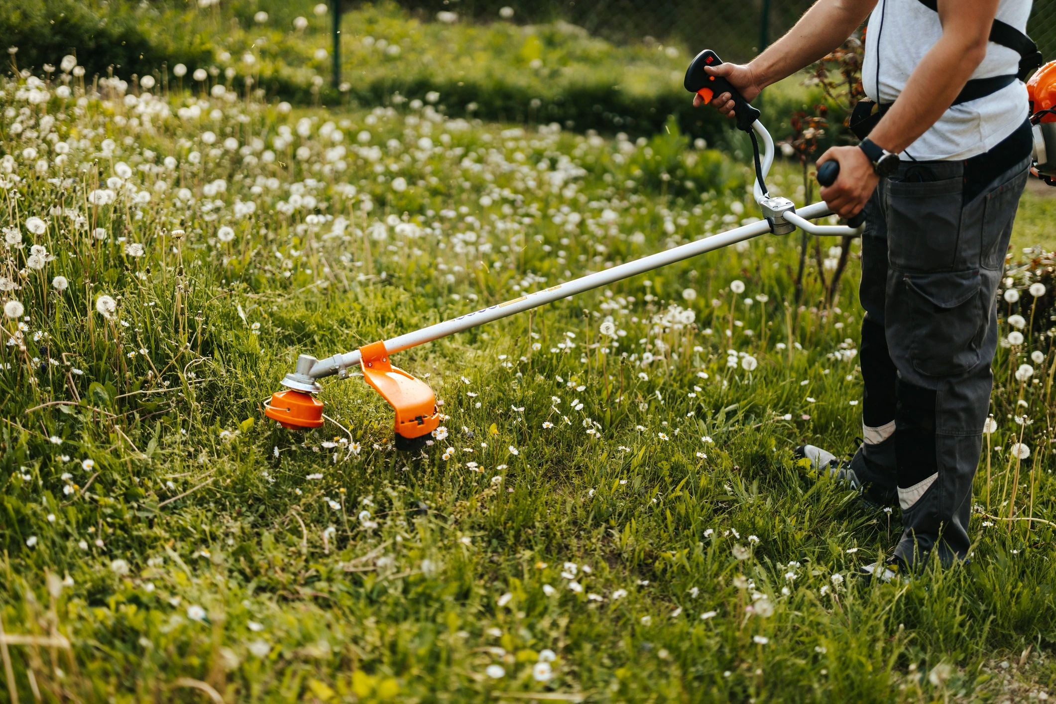 Homeowner trimming grass in a backyard