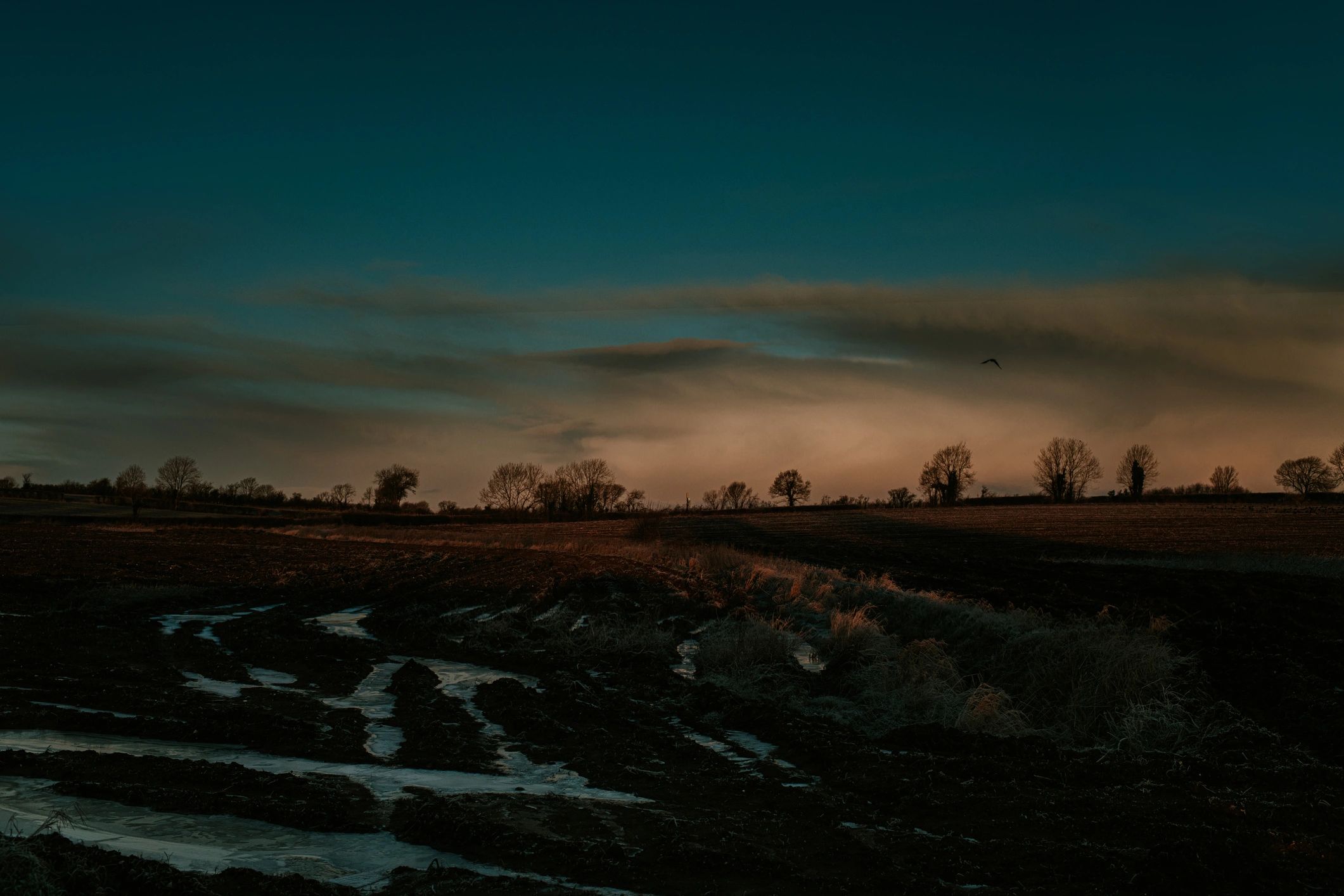 Tractor in a field at sunrise