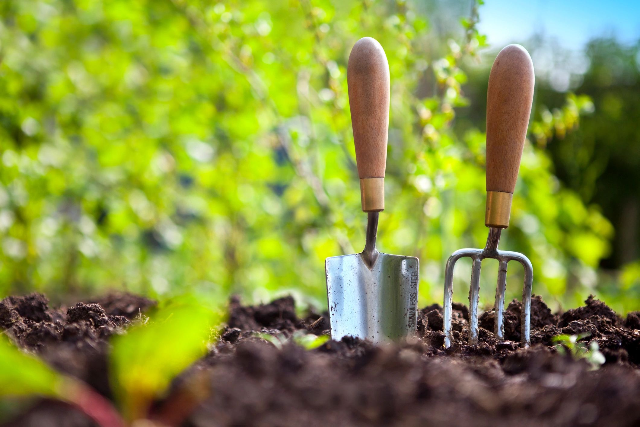 Garden hand tools standing in soil