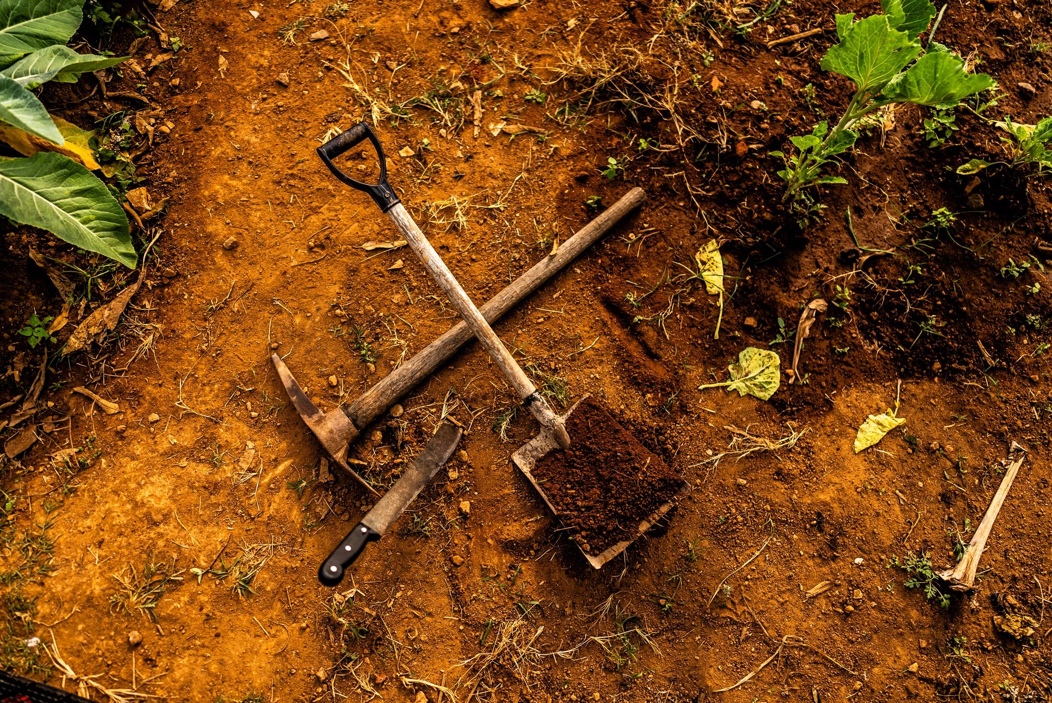 Garden work tools laid out in a community garden