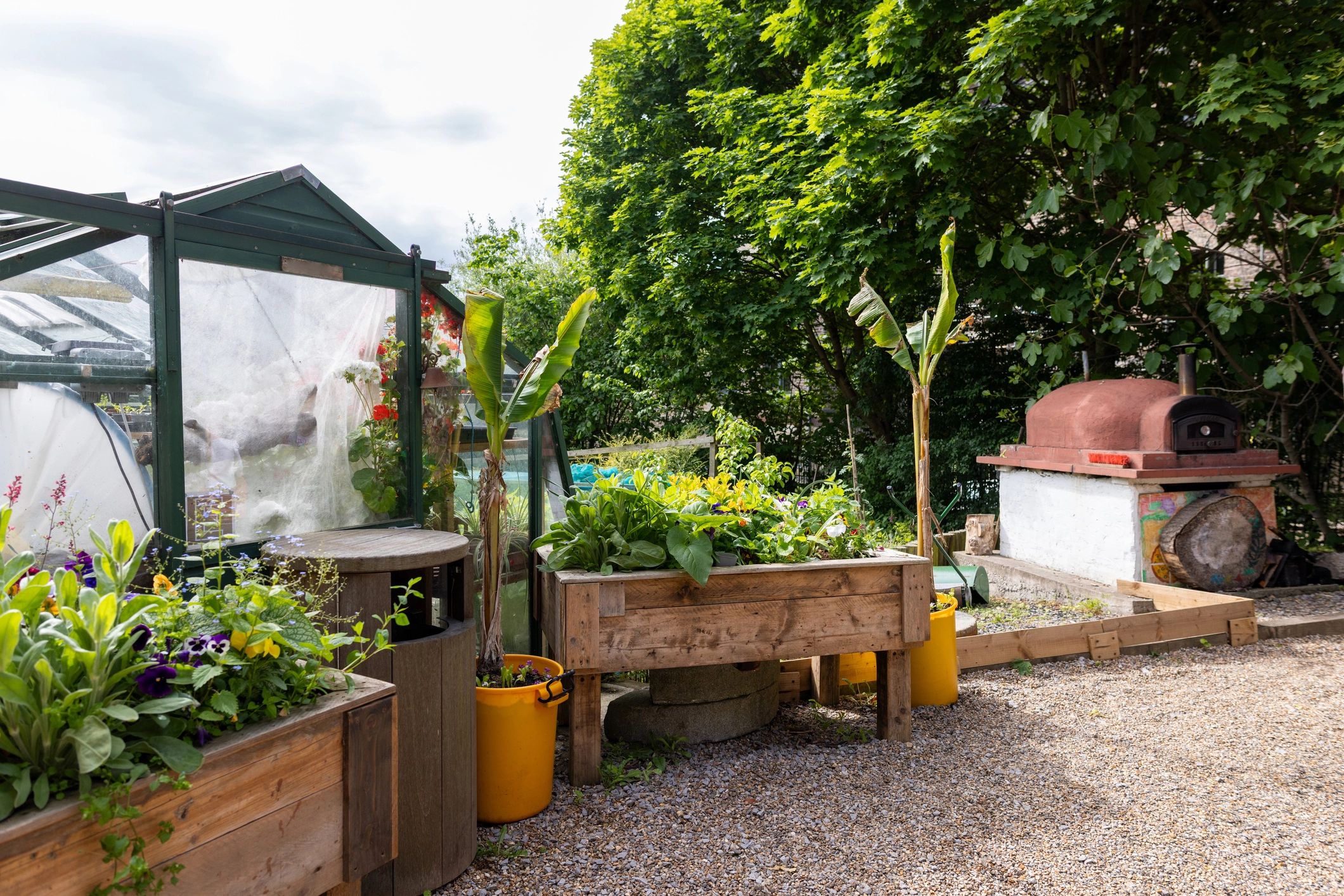 Raised garden beds and greenhouse
