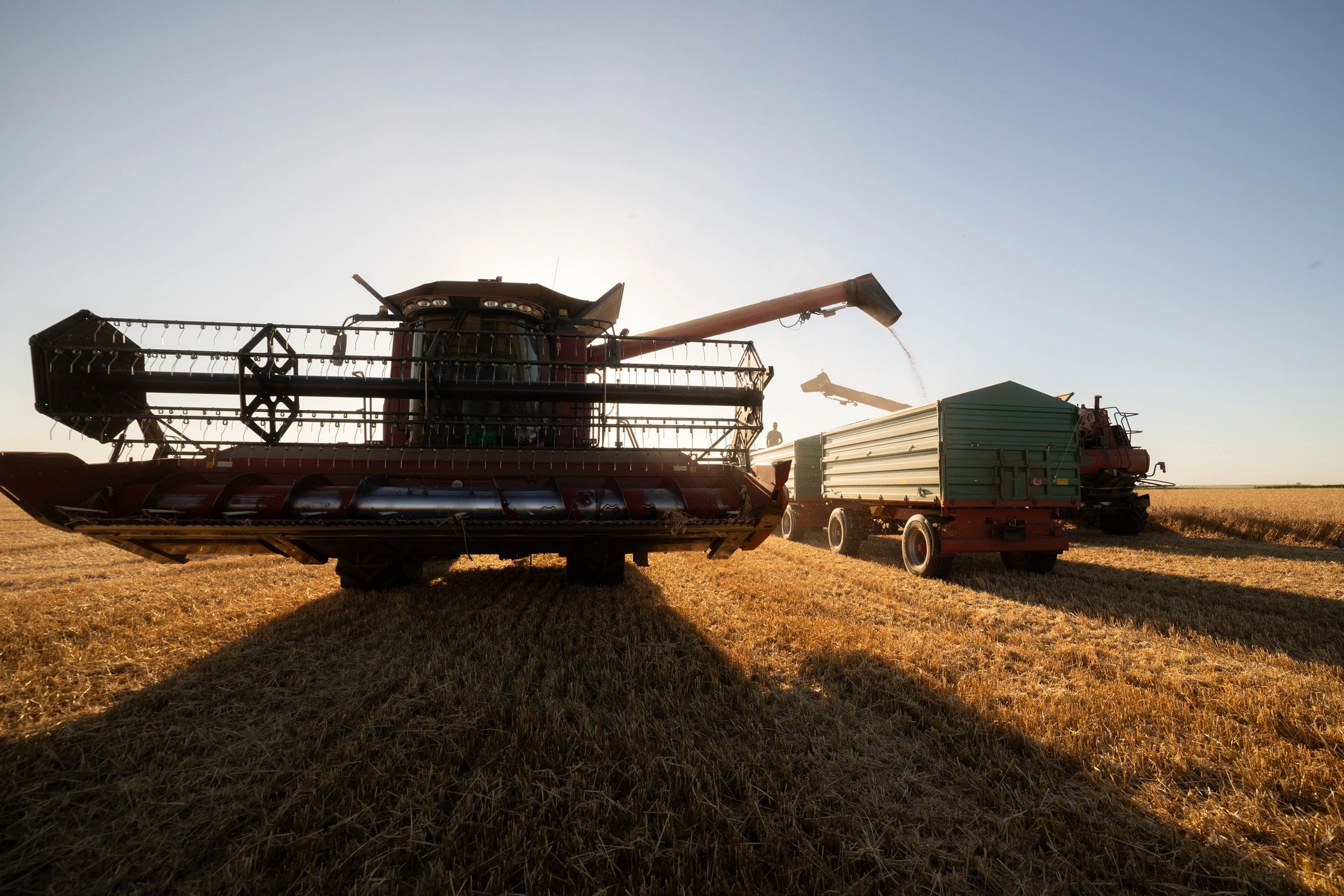 Combine and tractor working in a wheat field during harvest