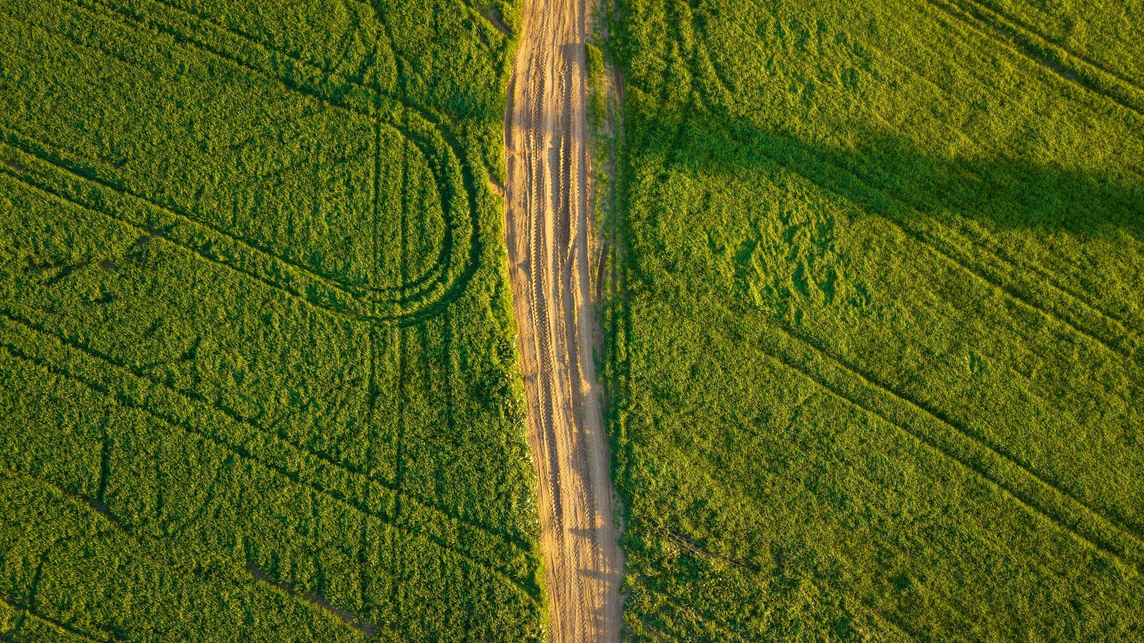 Aerial view of agricultural fields and a dirt road